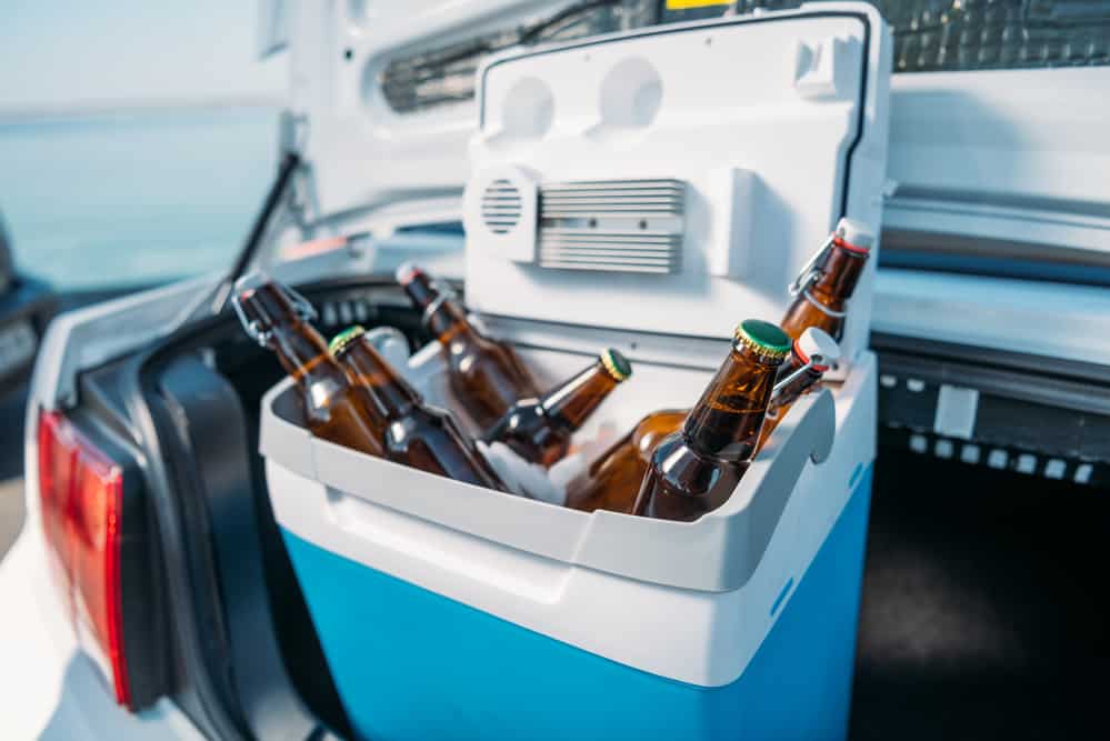 best coolers for summer