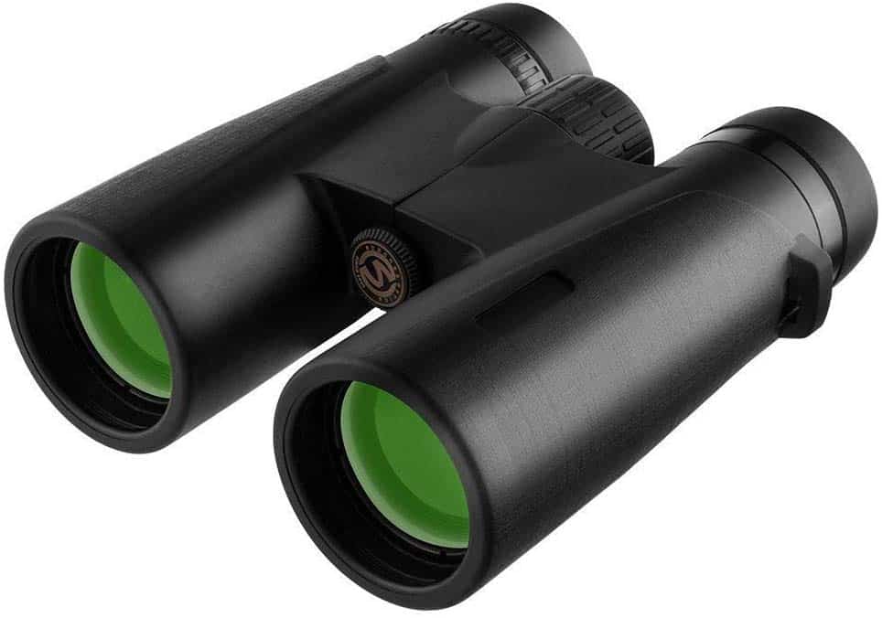 5+ Best Compact Binoculars (Reviews & Ratings For 2022)