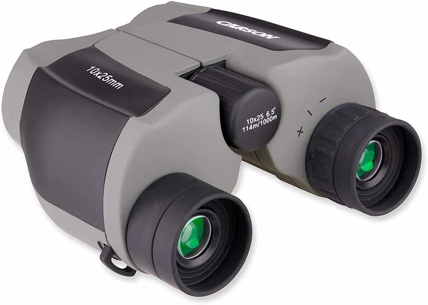 5+ Best Compact Binoculars (Reviews & Ratings For 2022)