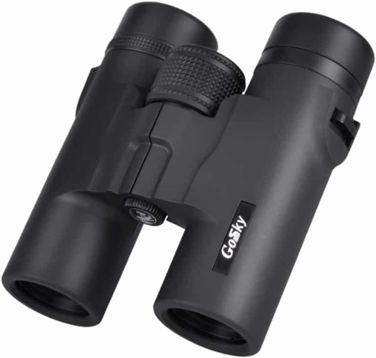 5+ Best Compact Binoculars (Reviews & Ratings For 2022)