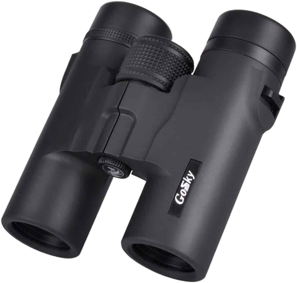 5+ Best Compact Binoculars (Reviews & Ratings For 2022)