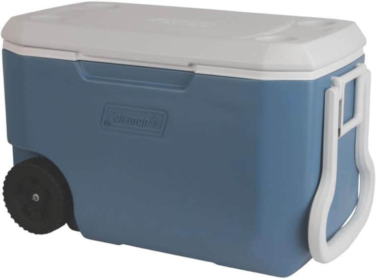 5+ Best Coolers For Summer (Reviews, Ratings For 2024)