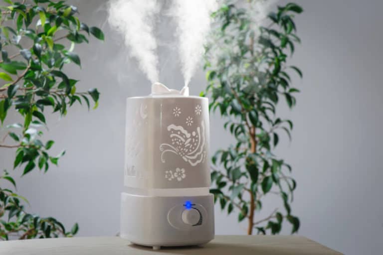 5 Best Air Humidifiers In Australia Reviews For 2022