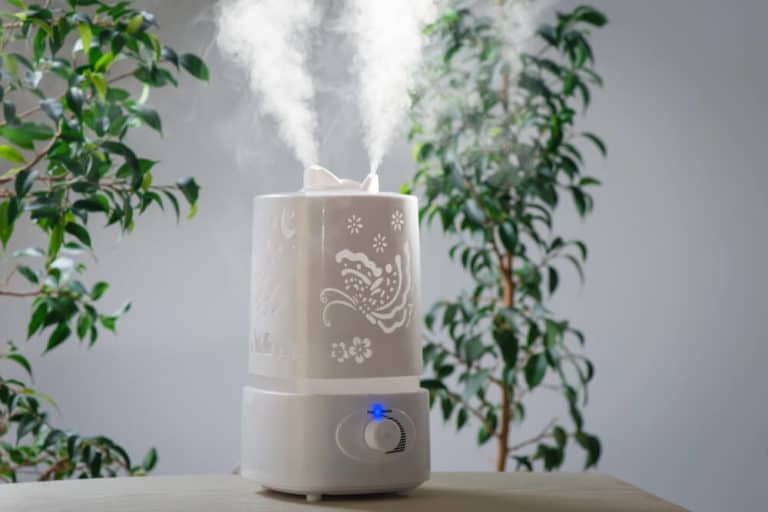 5+ Best Air Humidifiers In Australia (Reviews For 2024)