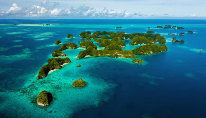 things to do in palau